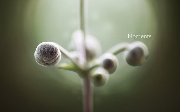 Planet Boelex - Moments